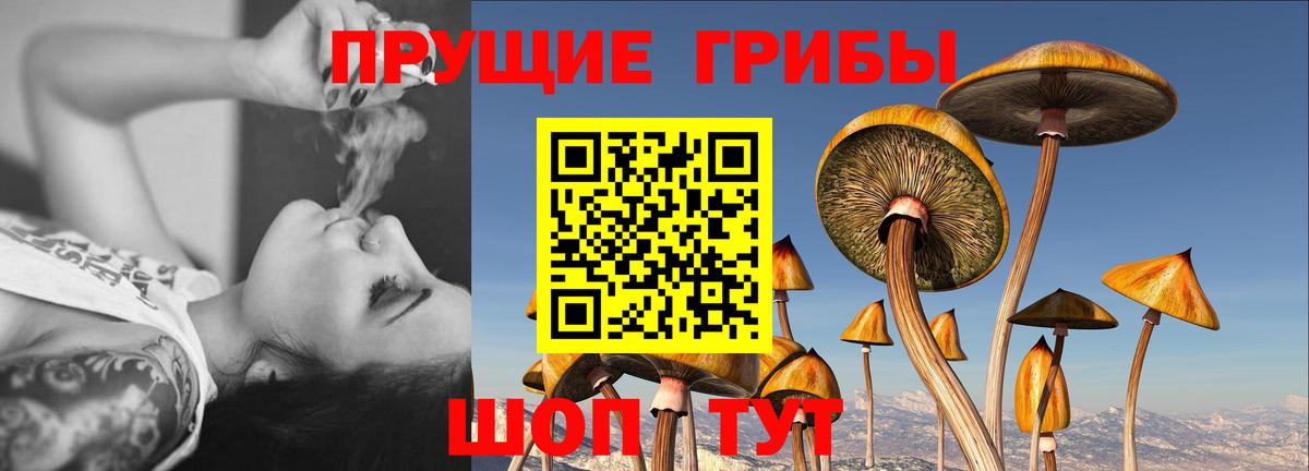 Можайск  Псилоцибиновые грибы ЛСД  Вход с VPN  Псилоцибиновые грибы MAGIC MUSHROOMS 